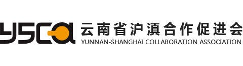 云南省沪滇合作促进会